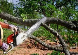 Best Lawn Irrigation Installation and Maintenance  in Stanhope, NJ