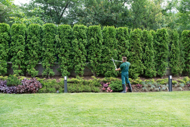 Best Tree Cabling and Bracing  in Stanhope, NJ